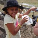 SKYE was happy to make sure the friendly calves were hydrated in the warm weather during a visit to Warrook Cattle Farm on Wednesday. The Pakenham girl visited the farm as one of Council’s vacation care program excursions. She joined other children from the area as they got to experience the daily activities of a farm. Picture: NICOLE WILLIAMS