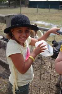 Down on the farm