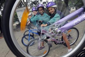 Healthy turnout on wheels