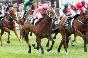 Untimely end for Crack horse