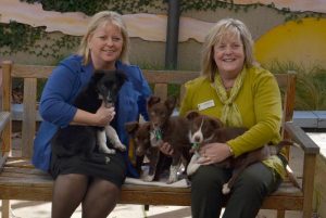 Seized puppies find homes