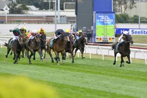 Crack field for Cup