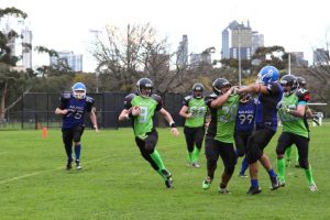 Silverbacks show their sure touch