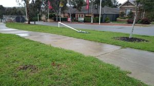Call goes out for SES help