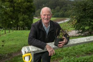 Plants ready to hit ground