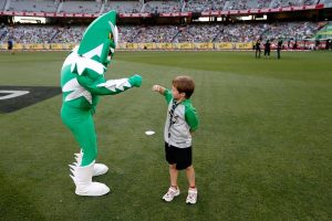 Cricket spins a win