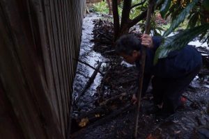 Flood damages claim ignored