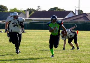 Young Silverbacks… deadly!