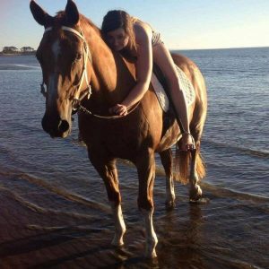 Search for stolen horse