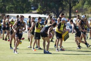 Tigers put on show