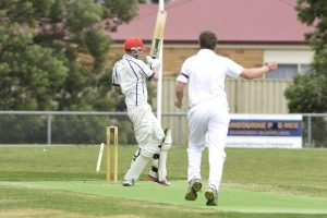 Tamed Lions roar again