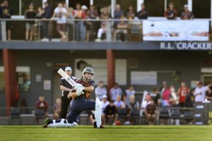 Stellar season reaps rewards