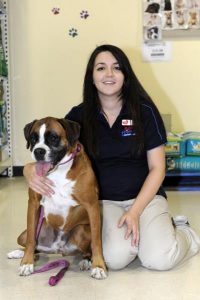 Puppy re-union, doggy advice