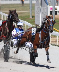 Big Sunday of trots