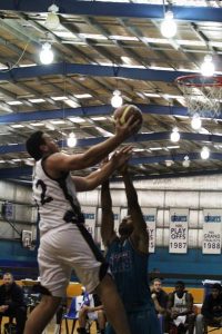 Warriors lose by whisker