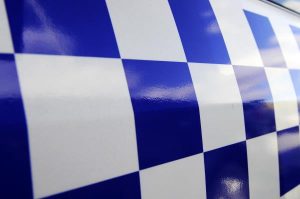 Boy on gun assault charges
