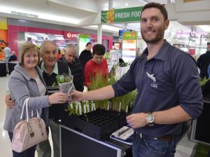 Annual plant giveaway