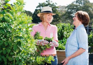 Growing communities