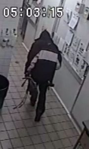 They’re not stealing sandwiches