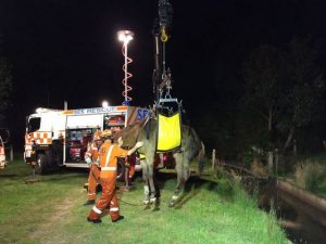SES in uplifting rescue