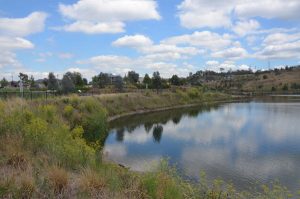 Council unmoved by snake threat