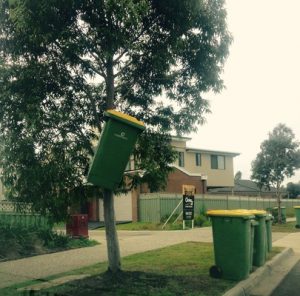 Bin collection rates are rubbish