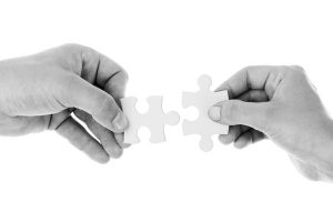 Partnership for the future
