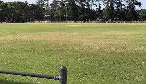 WGCA wins Country Week thriller