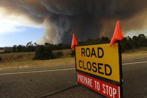 Princes Freeway update