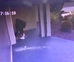 Daylight parcel theft caught on cam