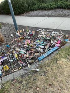 Vandals stir up trouble