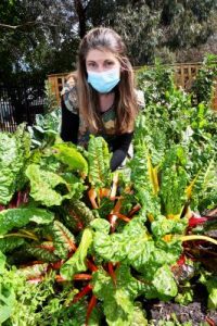Hope springs for gardeners