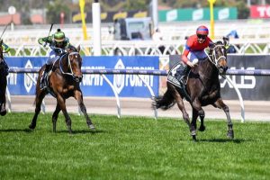 Incentivise brave in cup