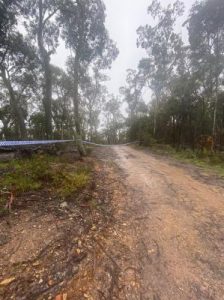 Police search for remains