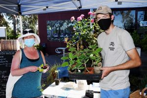 Seedling sale set to be a delight