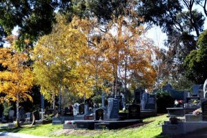 Stories from the grave