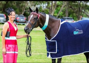 Excellence in equestrian