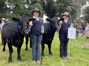 The best cattle shown in Lang Lang
