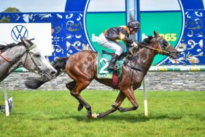 Grass grows greener with High Torque
