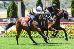 Junior earns sweet trip to Tasmania