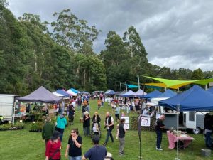 Apply now for festival grant