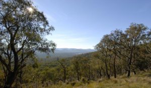 Chance to win through nature challenge