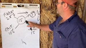 Feeding livestock – getting the rations right