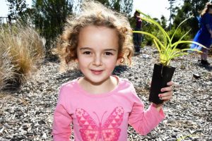 Planting a greener future