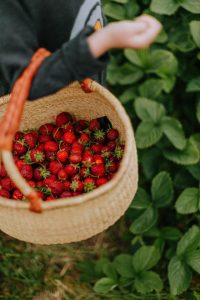 Rustic strawberry lemon cheesecake tart