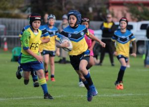 Eels brave the elements