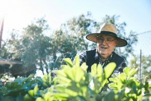 Green grants up for grabs