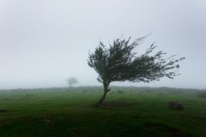 Damaging winds for Victoria’s long weekend