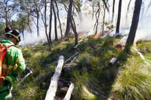 Seasonal firefighter roles now available
