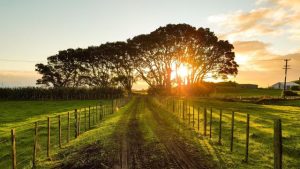 Call for young people to feed Australia